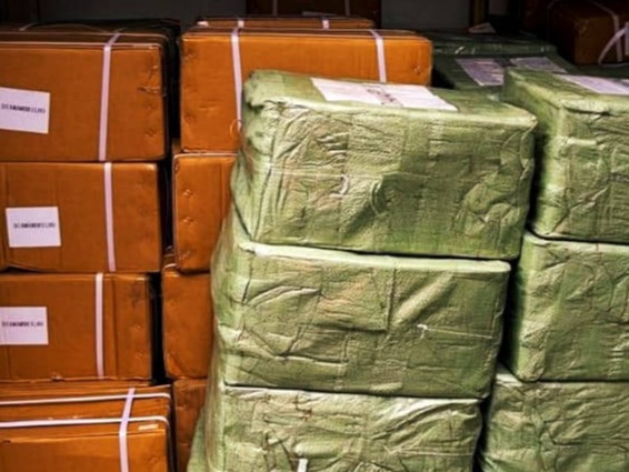 Bramorim Transportes