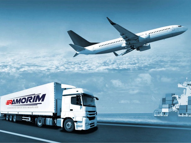Bramorim Transportes