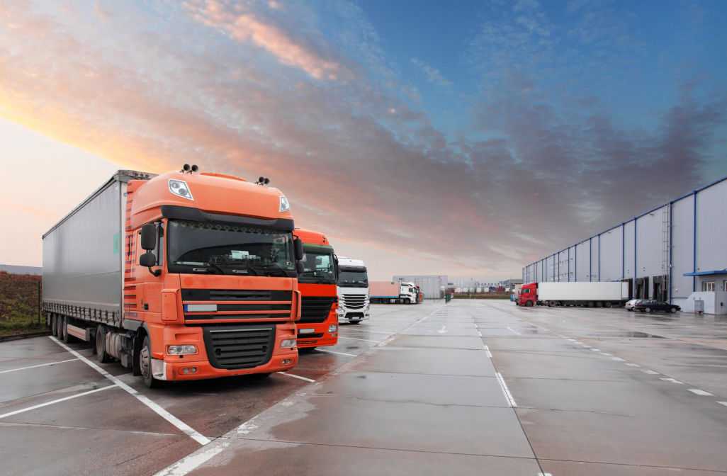 Bramorim Transportes
